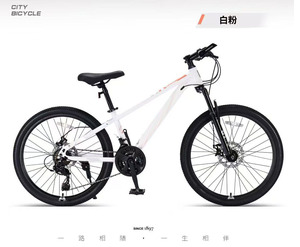 Nuova Bicicletta da Montagna per Adulti da 26 Pollici con Doppio Freno a Disco, Vendita Calda a Basso Prezzo, Disponibile in Stock, Supporto per Ordini all'Ingrosso - Product Image 6
