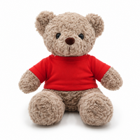 Adorable mini-ours en peluche de 10 cm avec vêtements personnalisés, jouet en peluche pour cadeaux, vente au détail et promotion