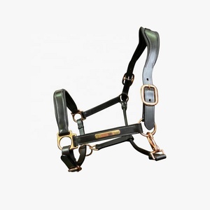 หนังม้าปลอกคอกายวิภาคอุปกรณ์ขี่ม้าเบาะสะดวกสบายดีไซน์หลากหลายสั่งผู้ผลิตจำนวนมากจากอินเดีย - Product Image 3