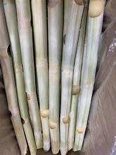 ÉTIQUETTE PROPRE CANNE À SUCRE CONGELÉE DE QUALITÉ SUPÉRIEURE UTILISATION À BOIRE À BASE DE PLANTES NATURELLES - Product Image 3