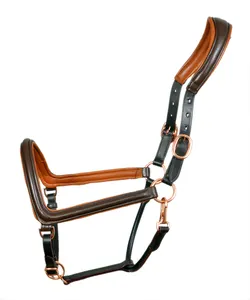 Penjualan Terbaik kulit Halter bridles kuda desain disesuaikan