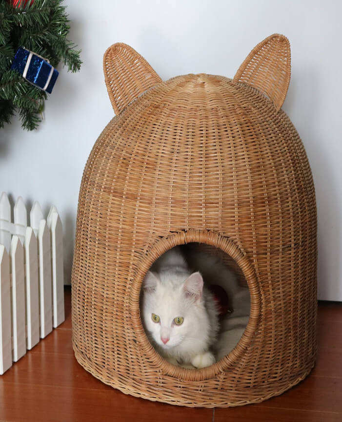 สีน้ำตาล