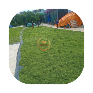 Vente en gros au Viet Nam d'algues séchées grillées (Laver verte Aonori Ulva Lactuca) flocons de laitue de mer séchée en poudre alimentation de haute qualité - Product Image 1