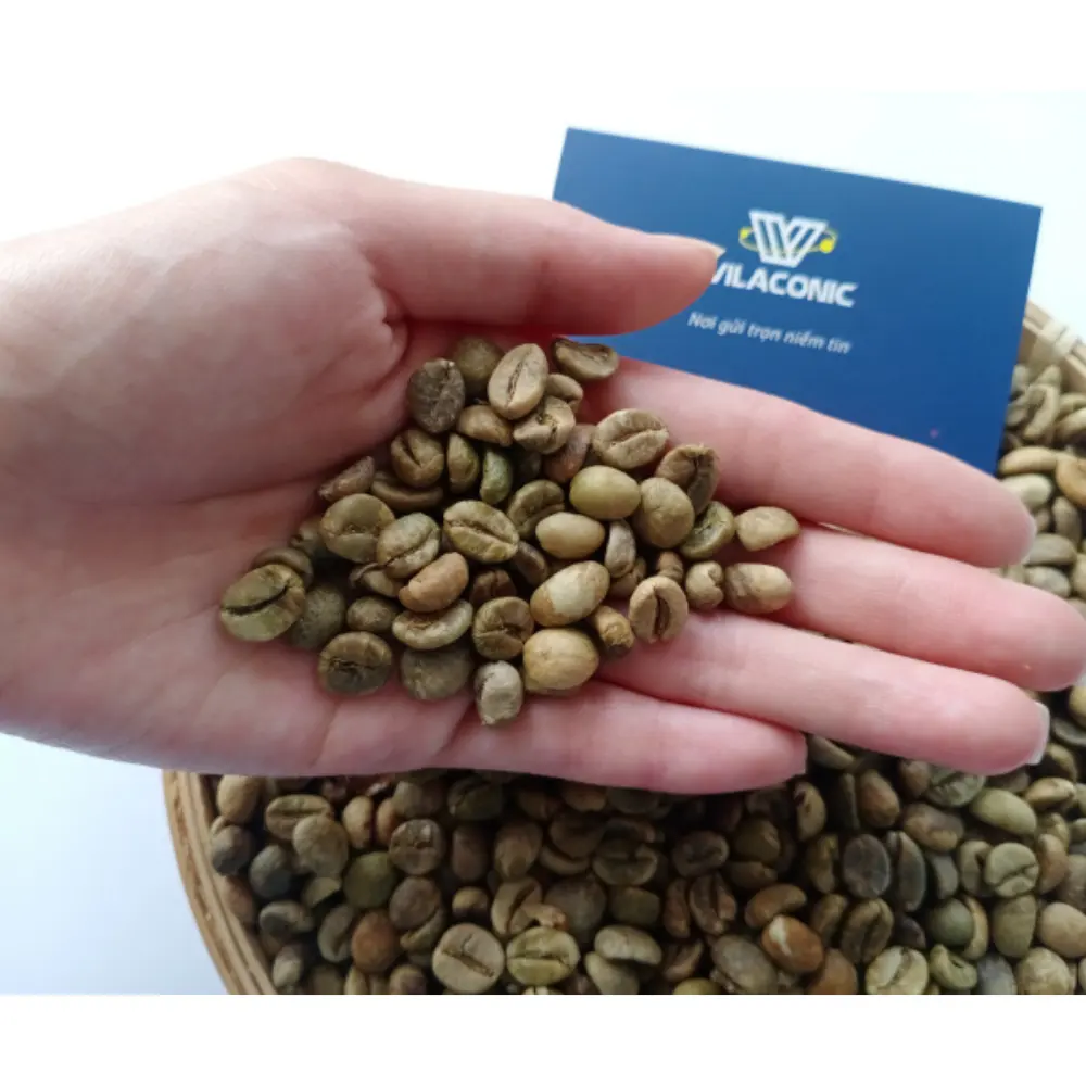 Achat prix de gros grain de café Robusta pur nettoyé/humide/poli de haute qualité en vrac de l'usine du Vietnam