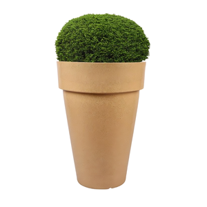 Jardinière en céramique créative avec forme sculptée et présence audacieuse améliore l'environnement de votre salon, cuisine, patio ou bureau - Product Image 1