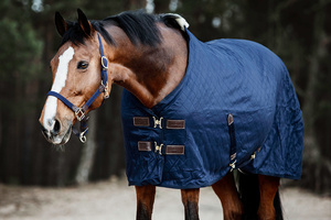 Venta al por mayor de fábrica alfombras de caballo personalizadas todos los colores tamaños impermeable duradero transpirable invierno equipo ecuestre de alta calidad - Product Image 4