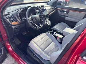 Bien cuidado, limpio, 2023 Hond-A, a, a, - Product Image 3