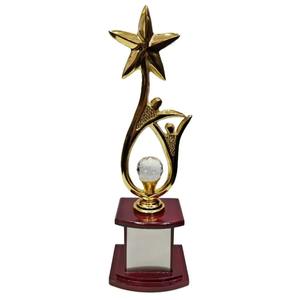 Custom Design <b>Metal</b> Cricket Trophy Cup Championship Award Gift - Product Image 1