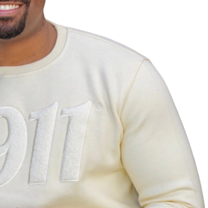 Sweat-shirt chenille solide neutre en coton épais pull à col rond KAP vêtements de fraternité grecque pour hommes décontracté - Product Image 6