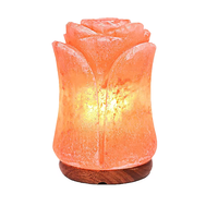 Lámparas de Sal del Himalaya Hechas a Mano con Formas Únicas: Cuenco de Fuego, Luna, Corazón y Pirámide, Luces LED USB, Purificadoras de Aire, Diseño Moderno