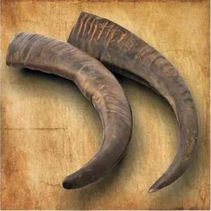 Masticable de Cuerno de Búfalo para Perros y Comida Ecológica para Perros - Comida para Mascotas Hecha a Mano con Forma Moderna y Personalizada - Product Image 2