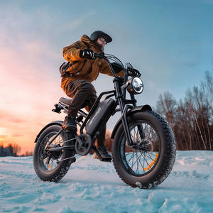 Pyg50 फ्री ड्रॉपशीपिंग इलेक्ट्रिक बाइक कार्गो ब्लैक सिटी ई-बाइक - Product Image 3