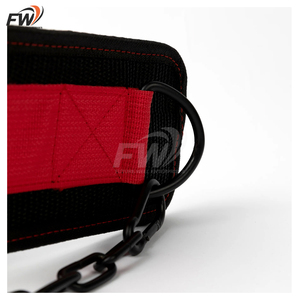Cinturón de Gimnasio Personalizado y Resistente con Soporte Lumbar Acolchado y Cadena de Acero para Dominadas con Peso, Flexiones y Sentadillas - Product Image 3
