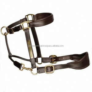 Plaque signalétique personnalisée en laiton robuste casque de conception anatomique licou de cheval en cuir rembourré souple dans toutes les tailles personnalisées - Product Image 6