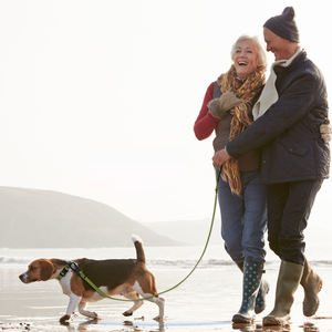 Neues Design Wasserdichte Hunde leine Lange weiche PVC-Jagdhund leine zum Laufen Laufen Klettern - Product Image 6