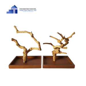 Hot Items 2025 Sustainable Java Wood (Coffee Wood) Tree Bird Perch for <b>Parrot</b> Play Stand for Wholesales - Product Image 6