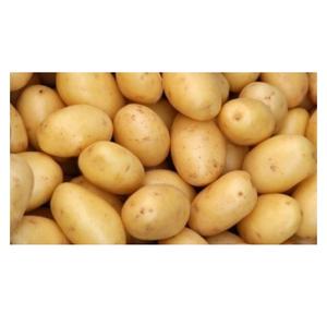 New crop Yellow <b>fresh</b> <b>potato</b> Wholesale <b>fresh</b> vegetables New <b>fresh</b> <b>potato</b> - Product Image 1