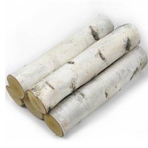 บันทึกไม้เบิร์ช-ตัวเลือกขนาดเส้นผ่าศูนย์กลางและความยาวต่างๆ - Product Image 4