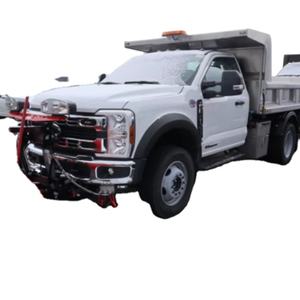 Camion benne utilitaire robuste 4x4 à cabine simple de 9 pieds 7 pouces en acier inoxydable, modèle 2024 - Product Image 1