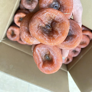 Le kaki séché IQF de qualité supérieure du Vietnam est un délicieux fruit séché prêt à exporter 99 données d'or - Product Image 1