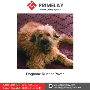 Pavés en caoutchouc de miette de forme de Dogbone durables de haute qualité pour les chemins de voiturette de golf de parcs d'attractions de cours - Product Image 3