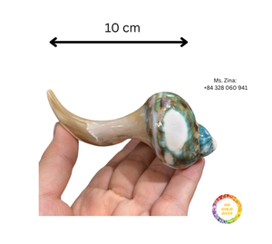 Soporte de descanso para palillos de concha marina Natural hecho a mano, accesorio de vajilla de concha tallada para restaurante, cocina, comedor - Product Image 6