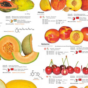 Affiche de fruits et noix au design allemand DIN A1 - Product Image 1