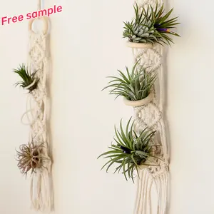 2023 New Eco-friendly Minimalist Macrame Wall hanging indoor Green plants Decoration for Air pineapple Air plant