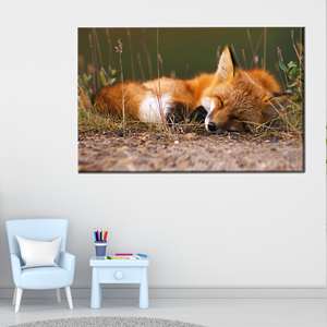 ผ้าใบพิมพ์ลาย: ศิลปะติดผนัง 3 มิติรูปสุนัขจิ้งจอกกำลังนอนหลับ, โปสเตอร์สัตว์น่ารัก, 1P: ห่อหุ้มอย่างดี - Product Image 1