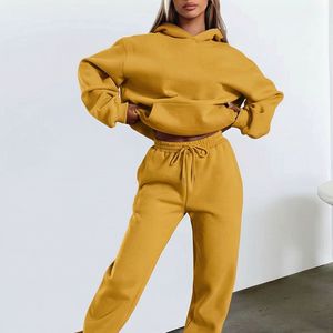 Sweat-shirts tendance avec logo personnalisé imprimé OEM, tissu tricoté, manches longues, taille plus, femmes, broderies, sweats à capuche embossés, tenues - Product Image 1