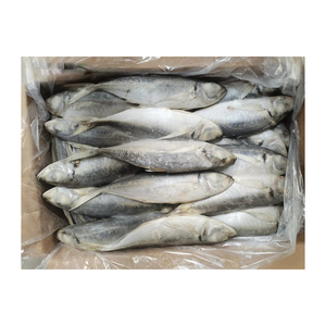 Maquereau congelé à bas prix, idéal pour les marchés de la pêche et les distributeurs - Product Image 4