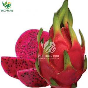 Fruit du dragon surgelé biologique certifié ISO, eau emballée en vrac préservée, goût sucré naturel, fournisseur de poids de type commun - Product Image 1