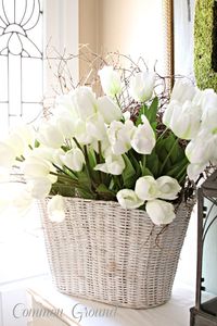 Jardinières en filet de rotin en fer faites à la main Design personnalisé Pots de fleurs d'intérieur et d'extérieur Jardinière à noyau décoratif - Product Image 4