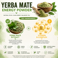 Poudre de Yerba Maté Micronisée à Dissolution Optimisée, Matrice Botanique de Haute Pureté, Validée en Laboratoire, Vrac, OEM, Usine Certifiée GMP ISO