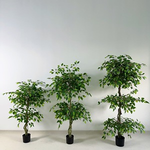 <b>Artificial</b> Ficus <b>Tree</b> with Braided Trunk – Luxury Indoor Plant 120/150/180 cm - Product Image 1