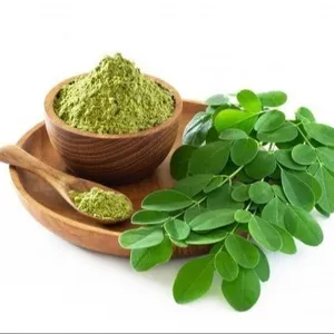 Supplier premium moringa leaf powder
