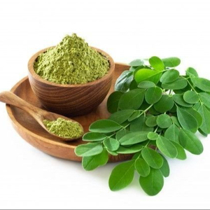 Extrait de feuille de Moringa du fournisseur premium Extrait d'herbes de qualité alimentaire extrait par solvant dans l'eau emballé en sacs Commande minimum 1kg - Product Image 1