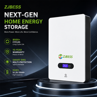 Sistema de Batería de Litio para Energía Solar de 51.2V, LiFePO4, Protección Inteligente BMS, 5KWH 10Kwh, Montaje en Pared, Almacenamiento de Energía Residencial
