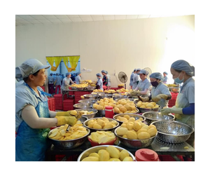 Mango seco Premium de Vietnam, aperitivo agridulce natural perfecto para panaderías y suministros de exportación - Product Image 6