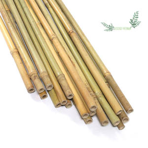 Poteaux de bambou pour la construction faits de poteaux de bambou colorés et 100% naturel de haute qualité, écologique d'Eco2go Vietnam - Product Image 4