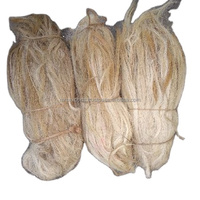 Vente en gros de poils de cheval naturels de qualité supérieure pour la fabrication de brosses, provenant d'Inde, aux meilleurs prix Agate by