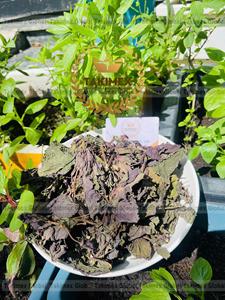 ใบงาแห้งสำหรับชงชาสมุนไพร - Product Image 5