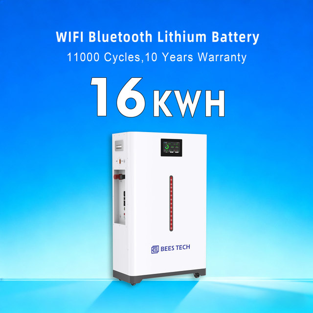 Touchscreen Floor Mobile 51.2v 15kwh Lithium Battery 48v 314ah 16kwh Lithium Ion Battery Home Solar Energy Storage System