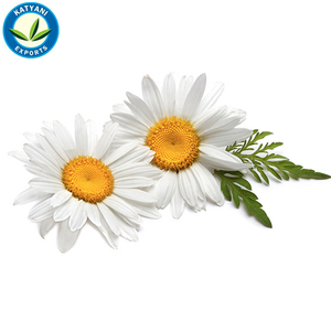 Huile essentielle de camomille allemande biologique Fourniture en gros de soins de la peau aromathérapie en vrac prix de gros marque privée de qualité thérapeutique - Product Image 2