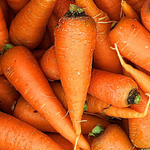 Acheter des carottes fraîches biologiques à vendre - Product Image 2