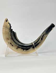 Vente chaude Taille personnalisée Casher Shofar Corne de bélier naturelle soufflée à des fins religieuses Israël Corne de koudou polie écologique - Product Image 1