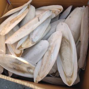 Os de seiche du Vietnam à bas prix séché du calmar pour le produit d'exportation de perroquet d'oiseau Lotus bleu - Product Image 2