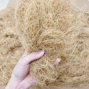 Gracilaria seca/Algas Gracilaria de Vietnam/Sra. Kate - Product Image 1