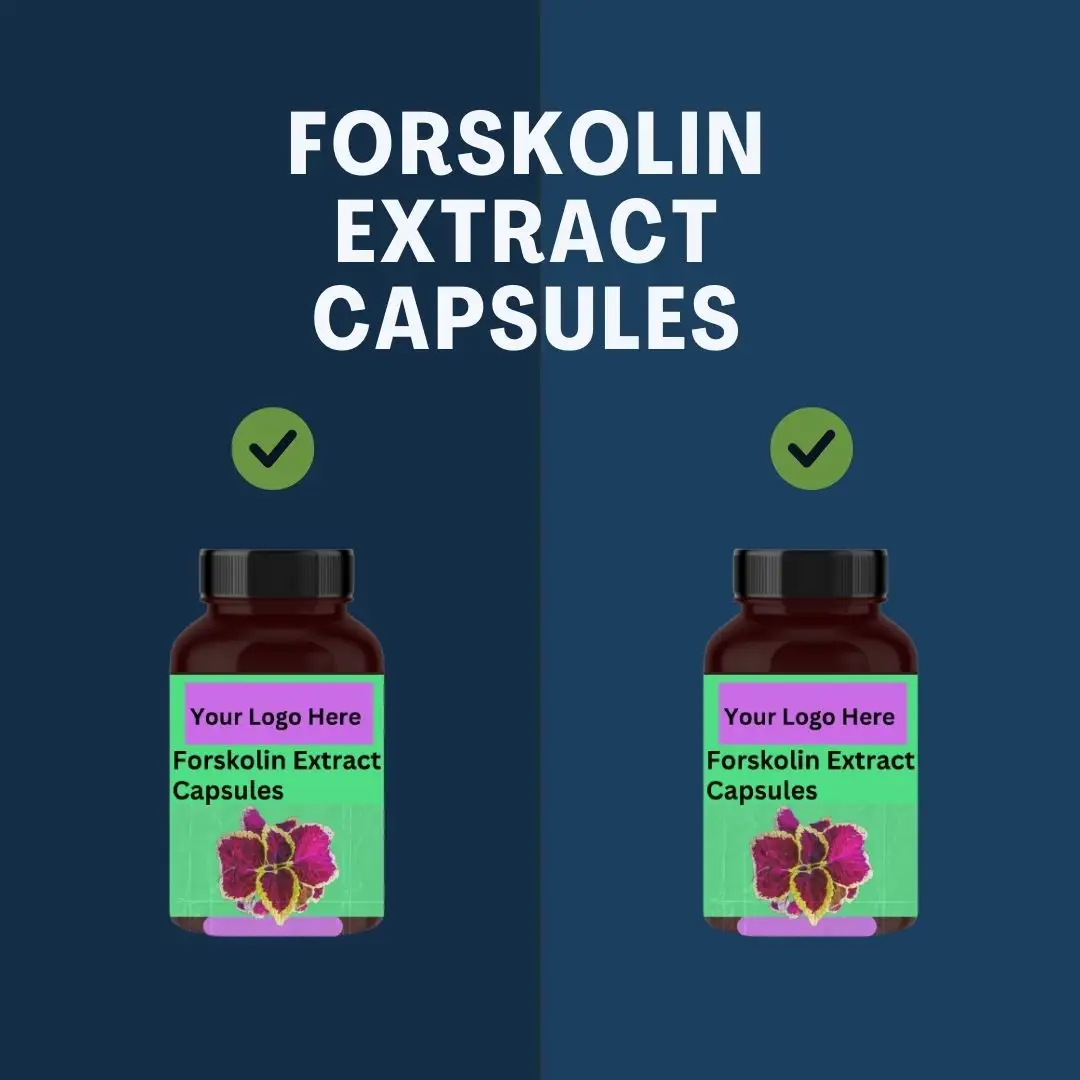 Customizable Forskolin Extract Capsules Natural Metabolism Booster and Weight Loss Promoter for Men Private Labeling Available