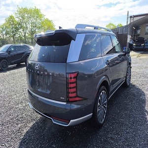 Hyundai Palisade Caligraphy AWD de última generación - Product Image 2